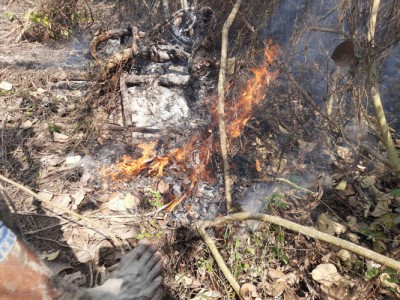 এখনও সুপ্ত অবস্থায় রয়েছে সুন্দরবনের আগুন, পুড়েছে ১০ একর বনভূমি